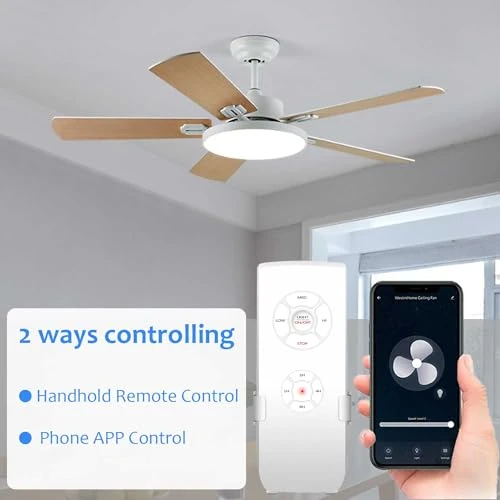 WiFi Ceiling Fan and Light Remote Control Kit, Aubric