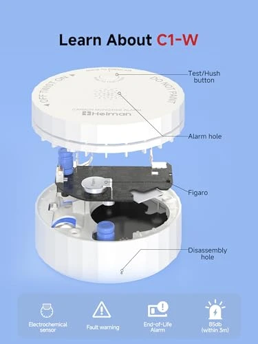 Smart Carbon Monoxide Detector, HEIMAN