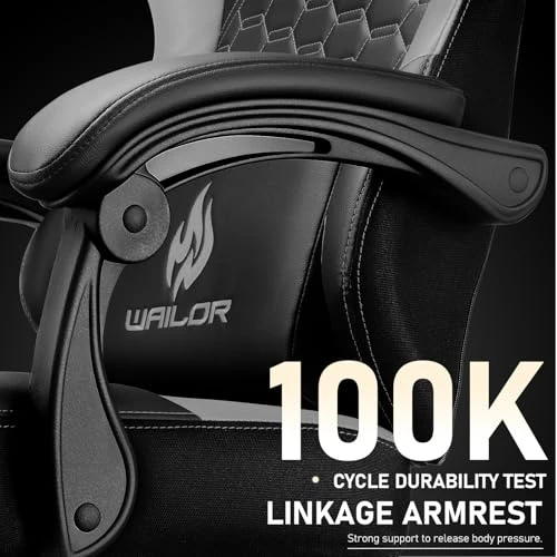 Gaming Chair with Massage and Footrest — Ergonomic Chair, WAILOR