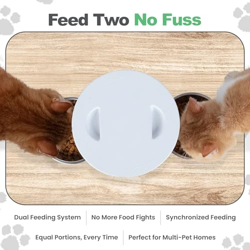 Automatic Cat Feeder for 2 Cats — Automatic Pet Feeder, Neatstir