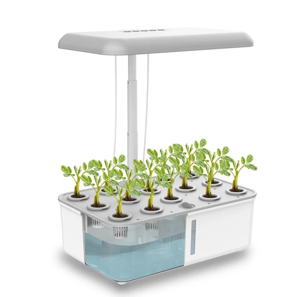 Hydroponic System with LED Grow Light and Automatic Pump — Indoor Garden, Automobile Club