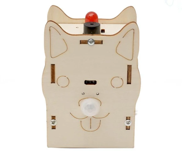 Human Body Detection Sensor DIY Educational Toy — STEM Toys, StrideWear