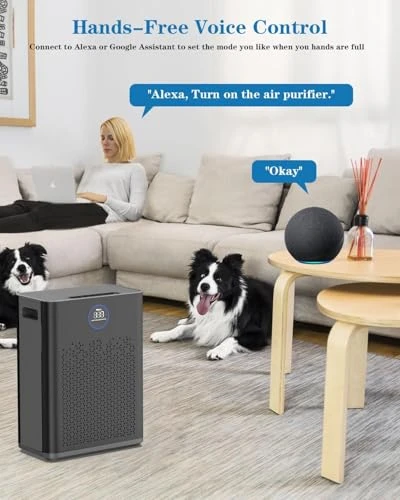 Air Purifier with Smart WiFi and PM 2.5 Sensor — Air Purifier, Generic