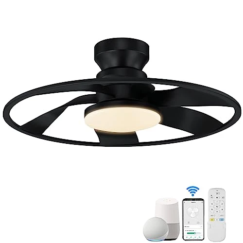 Smart Low Profile Ceiling Fan with Lights, Hoenofly