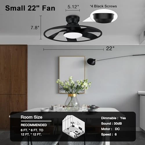 Smart Low Profile Ceiling Fan with Lights, Hoenofly