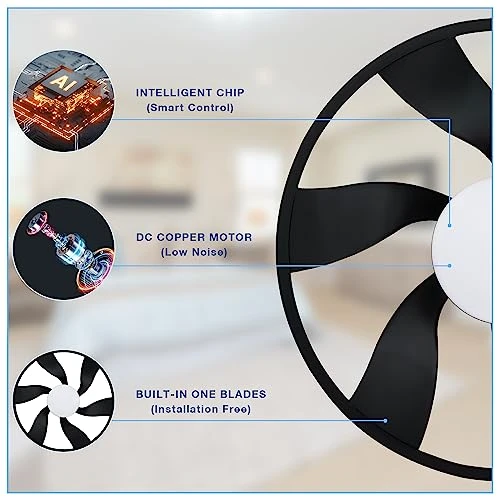 Smart Low Profile Ceiling Fan with Lights, Hoenofly