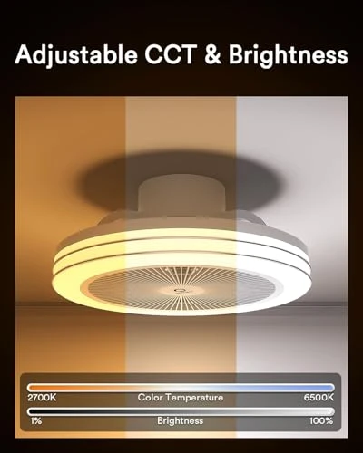 Smart WiFi & Bluetooth Ceiling Fan with RGBAI Light, Lumary