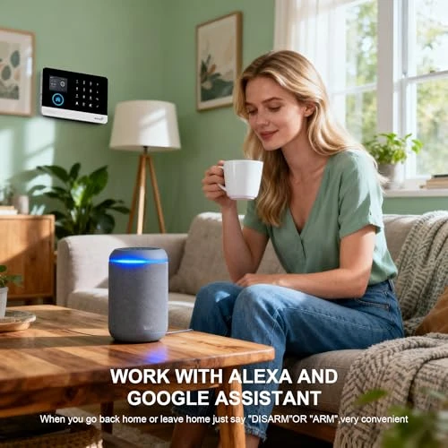 Wireless Home Alarm Camera System, LWOHSI