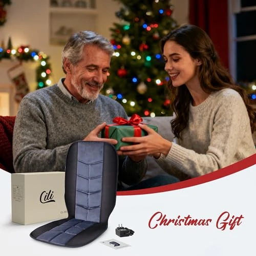 Massage Chair Pad with Heat — Massage Chairs, CILI