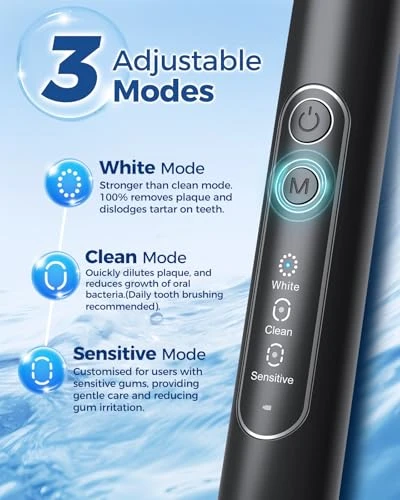 Rotating Electric Toothbrush for Adults with 8 Brush Heads — Electric Toothbrush, TEETHEORY
