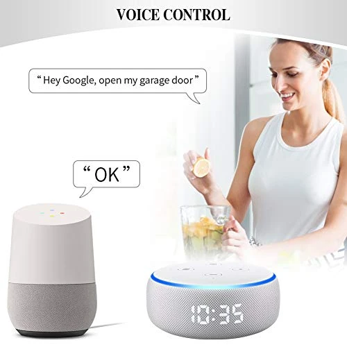 Wi-Fi Garage Door Opener Remote, RAQUEL