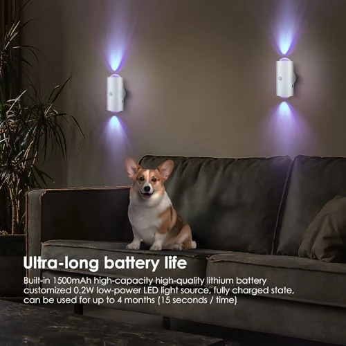 Motion Sensor Night Light, Keledz