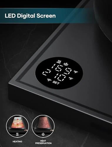 Electric Kettle with Precise Temperature Control — Electric Kettle, INTASTING