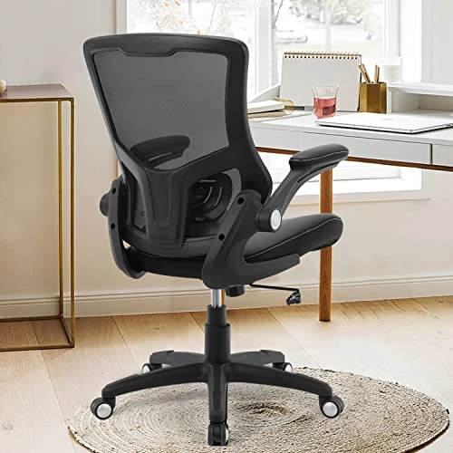 Ergonomic Desk Chair with Adjustable Lumbar Support and Flip-up Arms — Smart Chairs, X XISHE