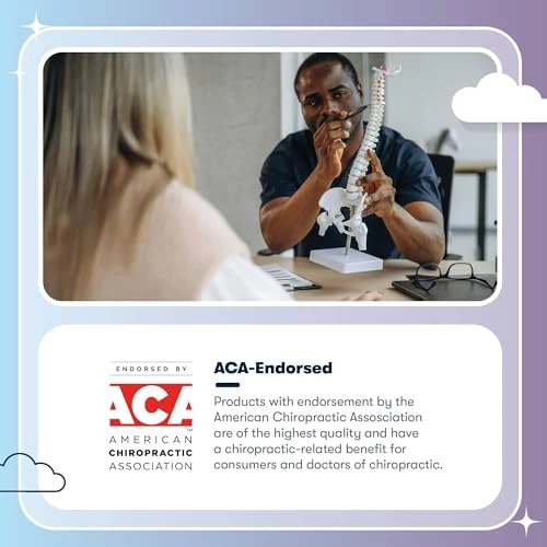 Executive Office Chair with Ergonomic Support and Adjustable Features — Smart Chairs, Serta