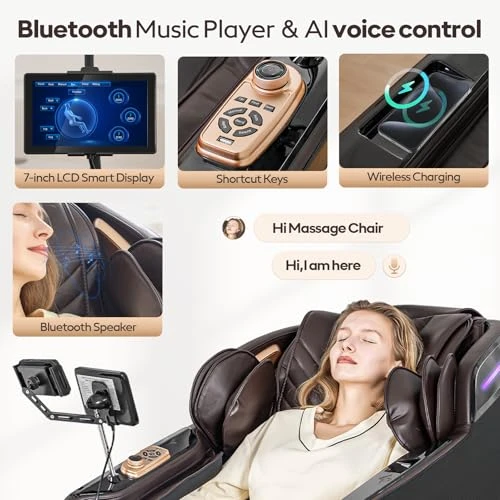 Massage Chair Recliner — Massage Chairs, Armali
