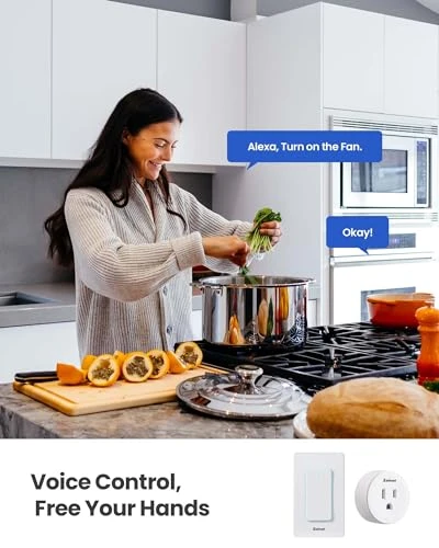 Smart Plug Switch — Smart Plug, Zoiinet