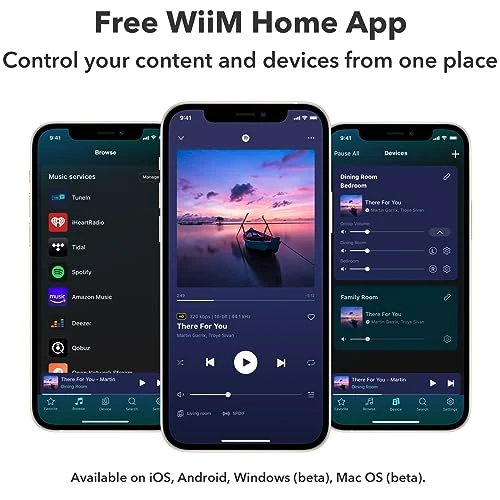 AirPlay 2 Receiver and Multiroom Streamer, WiiM