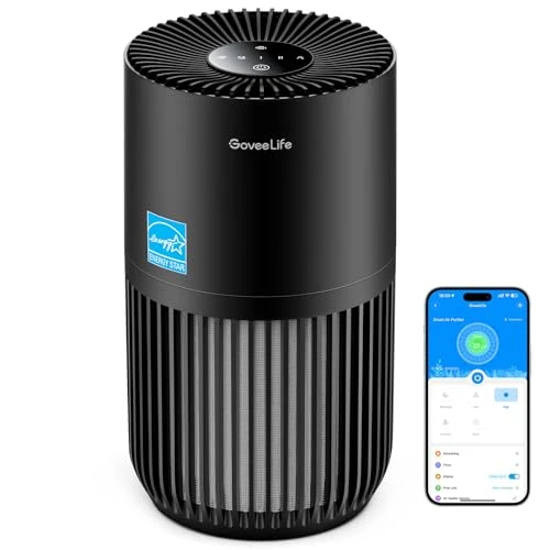 Mini Air Purifier for Bedroom — Air Purifier, GoveeLife