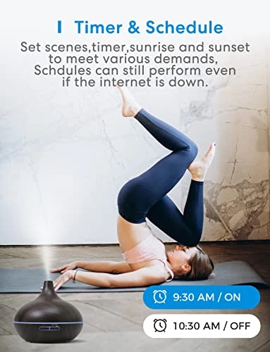 Smart WiFi Essential Oil Diffuser and Mist Humidifier — Essential Oil Diffuser, meross