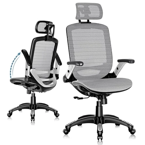 Ergonomic Office Chair with Headrest, Flip-Up Arms, Tilt Lock, and Wide Cushion — Smart Chairs, GABRYLLY