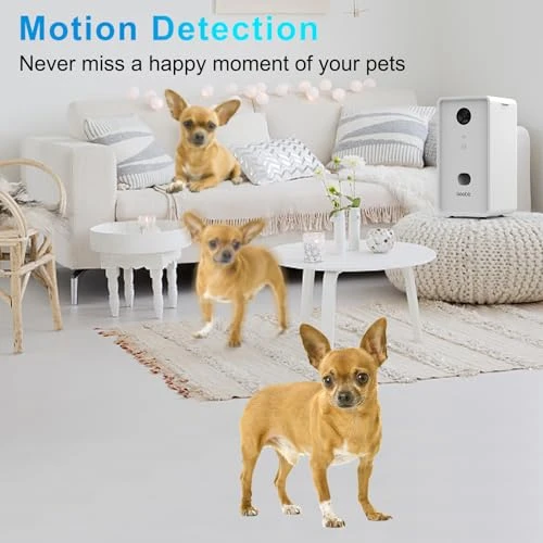 Pet Camera Treat Dispenser, Iseebiz