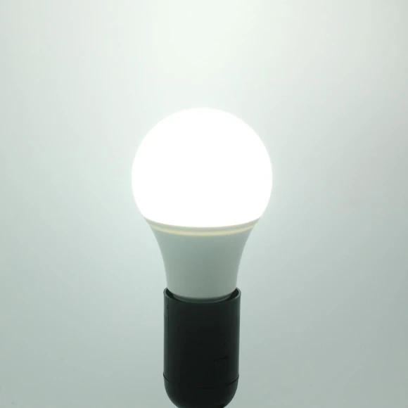 DC 12V LED Light Bulb, T Outdoor Lighting