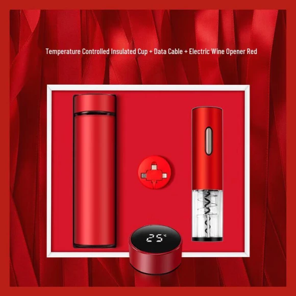 Smart Thermos Gift Set — Smart Water Bottle, JDST