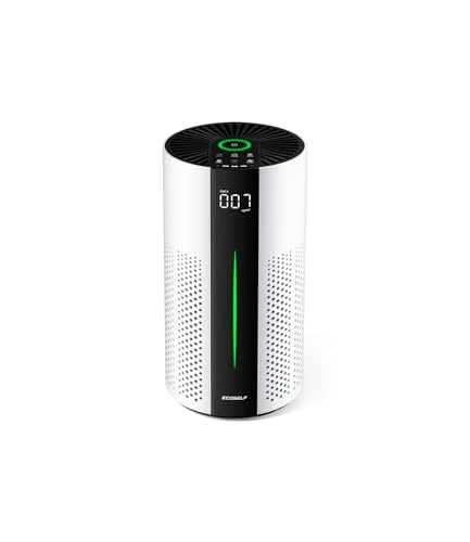 Air Purifier for Large Rooms — Air Purifier, ECOSELF