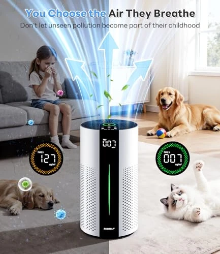 Air Purifier for Large Rooms — Air Purifier, ECOSELF