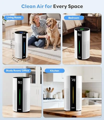 Air Purifier for Large Rooms — Air Purifier, ECOSELF