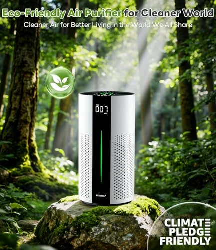 Air Purifier for Large Rooms — Air Purifier, ECOSELF