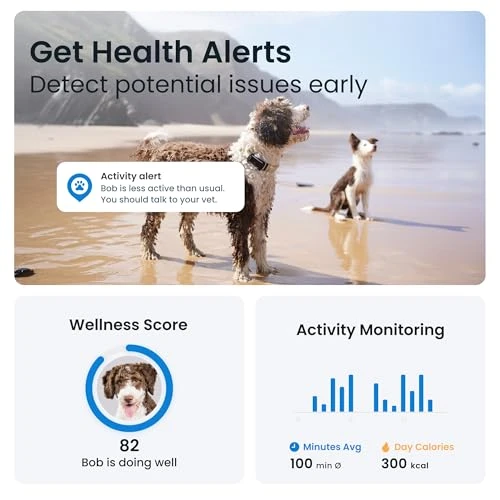 GPS Dog Tracker — Dog GPS Tracker, Tractive