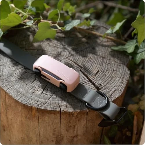 GPS Dog Tracker — Dog GPS Tracker, Tractive