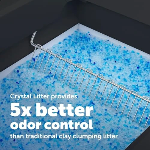 Self-Cleaning Cat Litter Box System with Enclosed Front-Entry — Self-Cleaning Litter Box, PetSafe