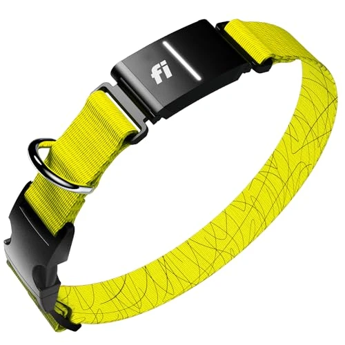 Smart Dog Tracker Collar — Dog GPS Tracker, Fi