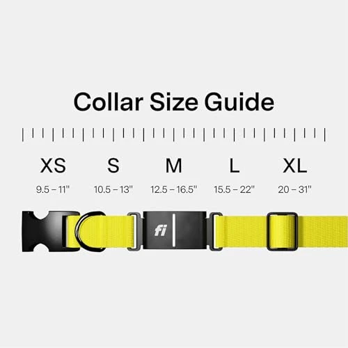 Smart Dog Tracker Collar — Dog GPS Tracker, Fi