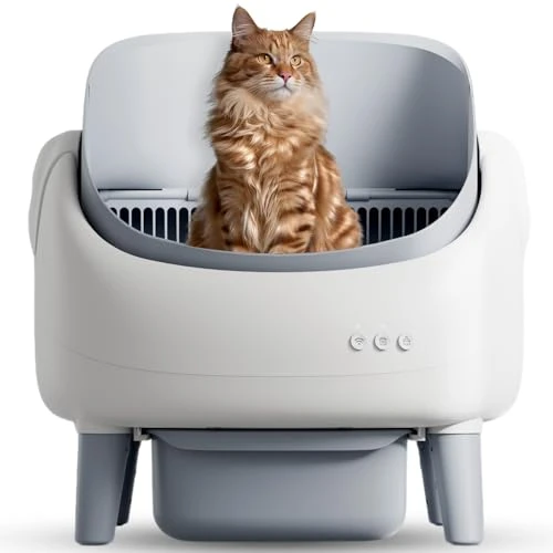 Automatic Cat Litter Box — Self-Cleaning Litter Box, ZeaCotio