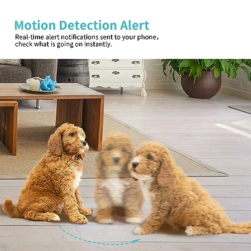 Pet Camera with 2K HD, 360° Pan/Tilt View, Night Vision, Motion Tracking, and Two-Way Audio — Security Camera, Armorcope