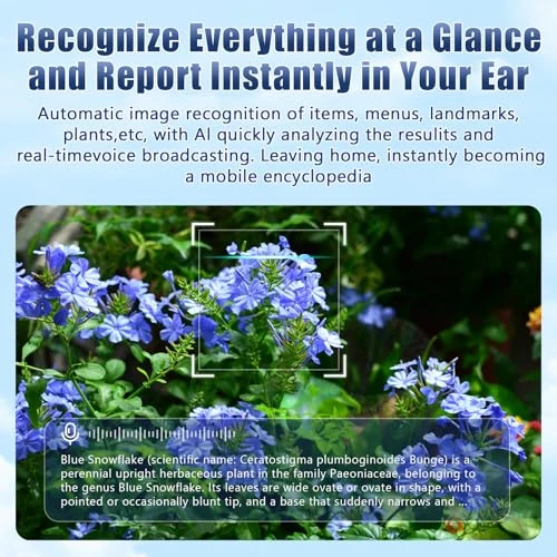 Smart Glasses with HD Camera and AI Translation — Smart Glasses, T.Chilyn