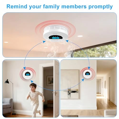 Interconnected Smoke and Carbon Monoxide Detector, Soewolit