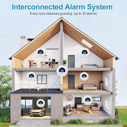 Interconnected Smoke and Carbon Monoxide Detector, Soewolit