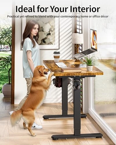 Electric Adjustable Standing Desk — Standing Desk, BIZUM