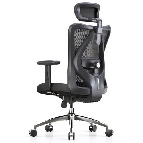 Ergonomic Office Chair — Ergonomic Chair, SIHOO