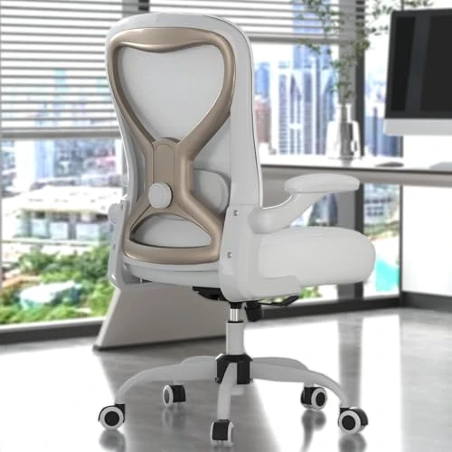 Office Desk Chair with Ergonomic Lumbar Support — Ergonomic Chair, CASASIO