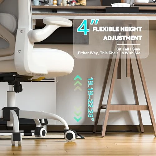 Office Desk Chair with Ergonomic Lumbar Support — Ergonomic Chair, CASASIO