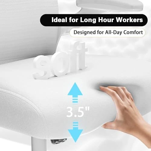 Office Desk Chair with Ergonomic Lumbar Support — Ergonomic Chair, CASASIO