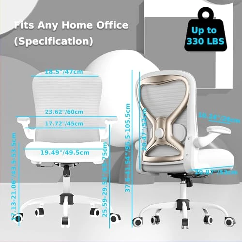 Office Desk Chair with Ergonomic Lumbar Support — Ergonomic Chair, CASASIO