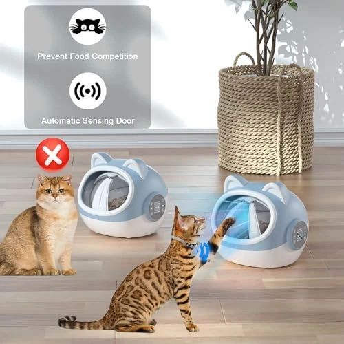 Smart Pet Feeder with Dual Collar Tags — Automatic Pet Feeder, HotSoul