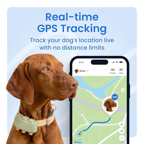 Smart Dog GPS Tracker — Dog GPS Tracker, Tractive